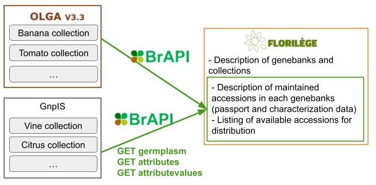 Figure Florilege Workflow