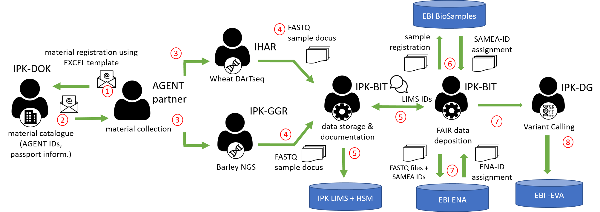 Figure 3: Figure Data flow of genotypic data from AGENT partner databases